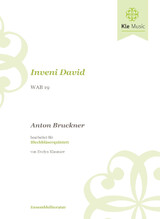 Inveni David WAB 19